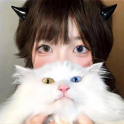 功夫特务 在线观看